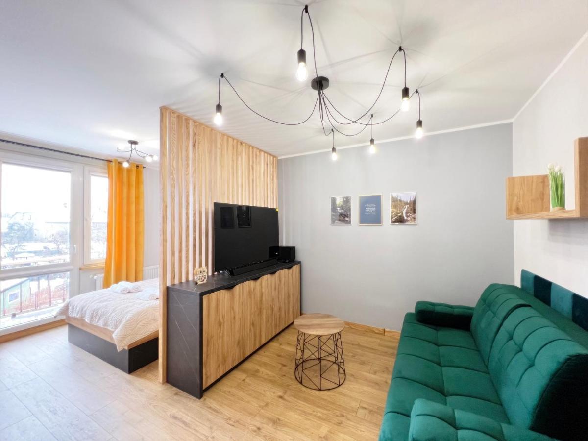 بييخوفيتسا Apartament Karkonoski المظهر الخارجي الصورة